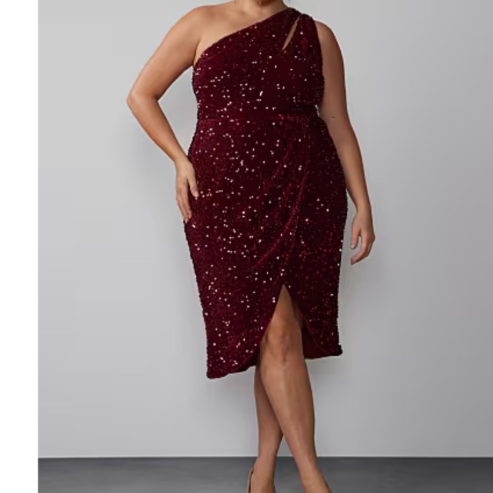 NWT NY and Co Plus size dress